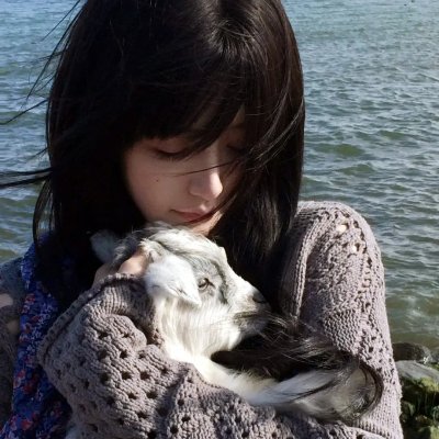 两万种蜜蜂